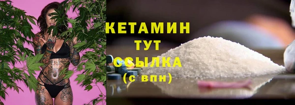 шишки Козельск