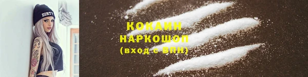 твердый Козловка