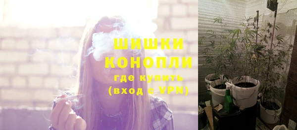шишки Козельск