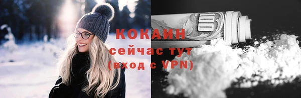 прущие грибы Корсаков
