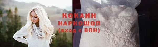 твердый Козловка