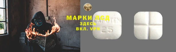 прущие грибы Корсаков