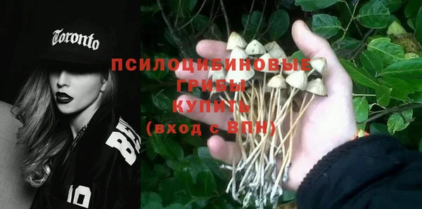 гидропоника Коряжма