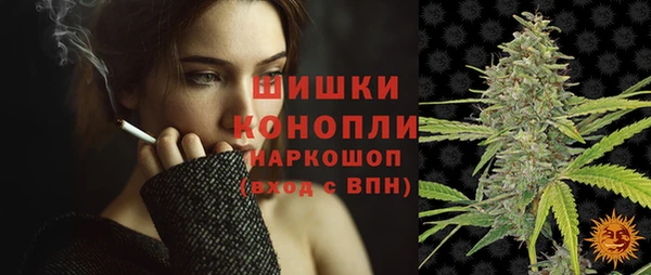 гидропоника Коряжма