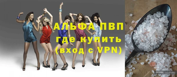 прущие грибы Корсаков