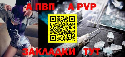 spice Кингисепп