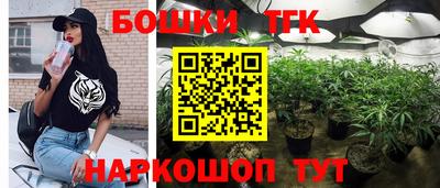 spice Кингисепп