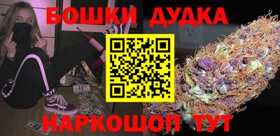 spice Кингисепп