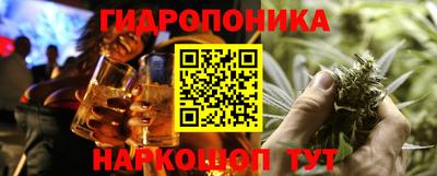 spice Кингисепп