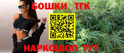 spice Кингисепп