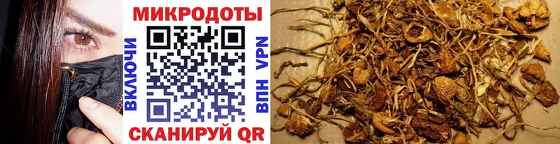 Псилоцибиновые грибы Psilocybine cubensis  Кропоткин 