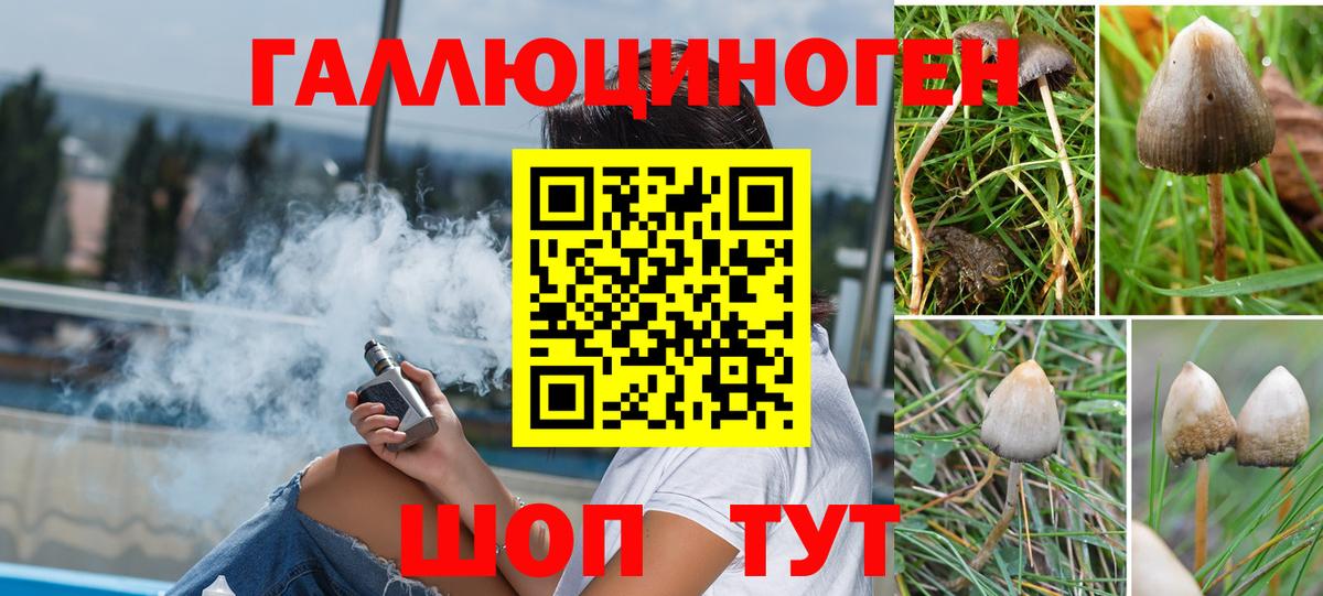 где можно купить наркотик  Галлюциногенные грибы мицелий  Псилоцибиновые грибы GOLDEN TEACHER  Вход с VPN  Кропоткин 