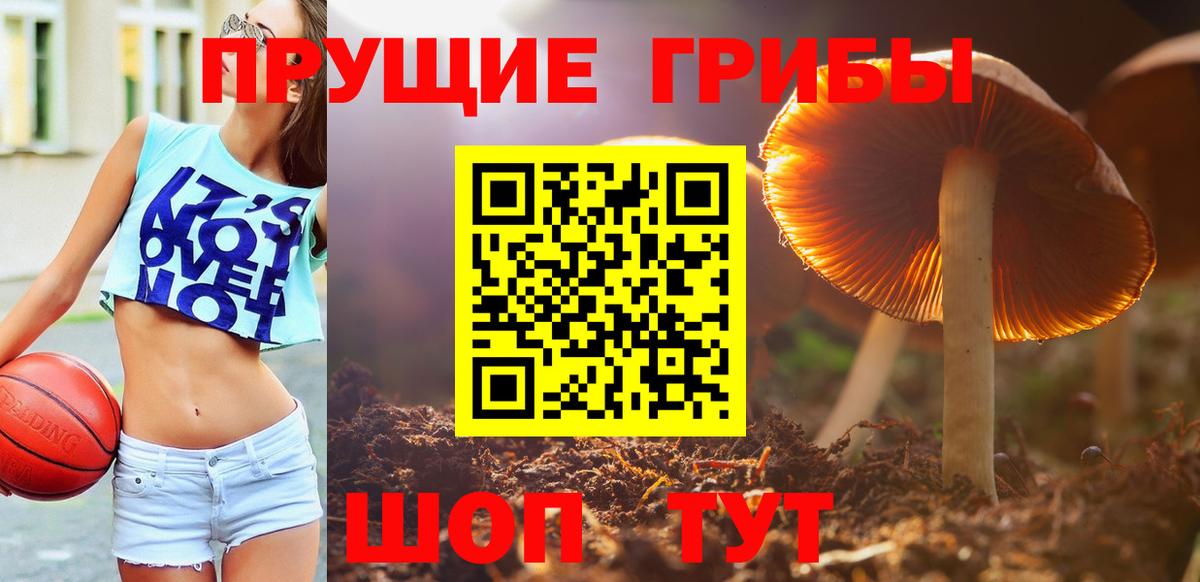 Псилоцибиновые грибы мухоморы Кропоткин